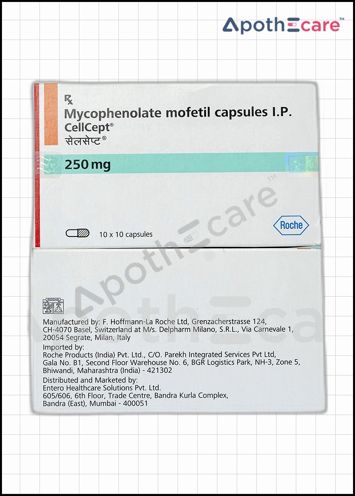 Cellcept 250mg tablets pack of 10, used for preventing organ transplant rejection.