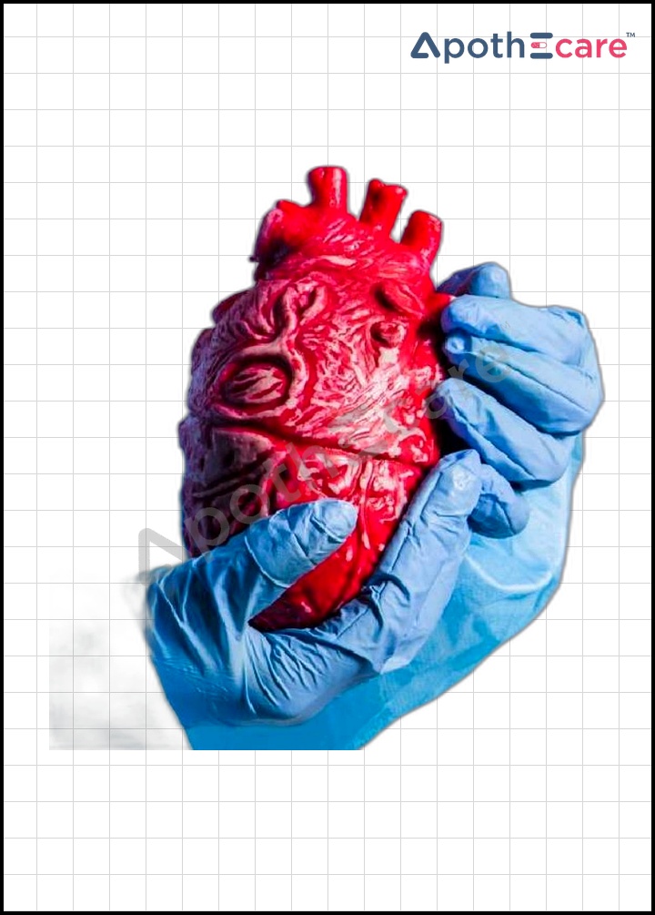 10 Best Cardiology Hospitals in India Blog